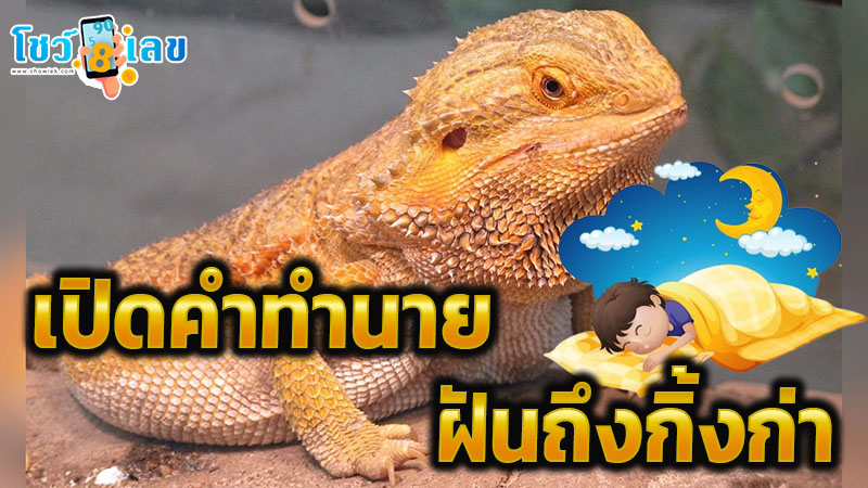ฝันถึงกิ้งก่า-"Dream that a chameleon bites your hand"