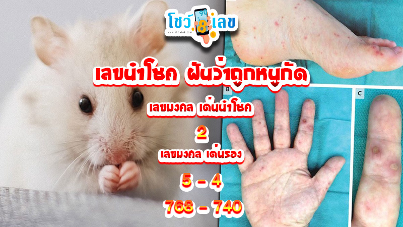 ฝันเห็นหนู 1 ตัว เลขเด็ด-"Dreamed of seeing 1 mouse, lucky number."