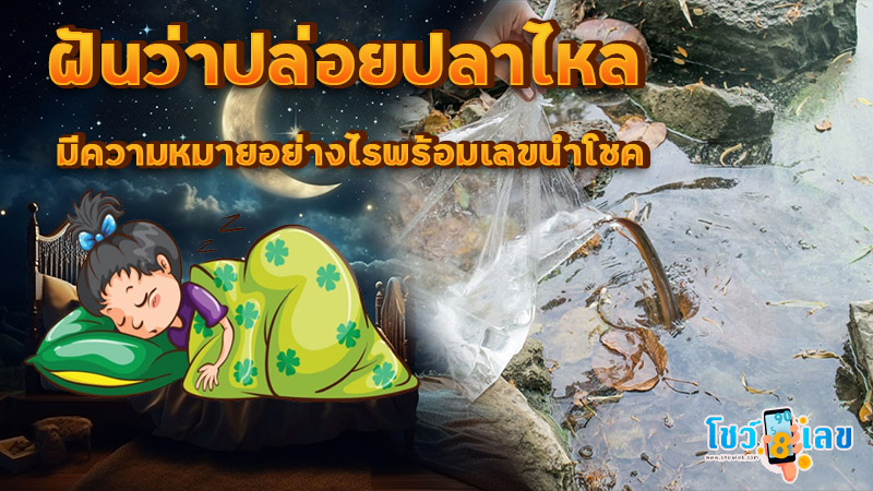 ฝันว่าปล่อยปลาไหล-"Dreaming of releasing eels"