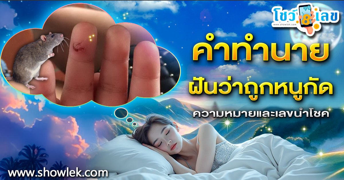เปิดคำทำนาย ฝันว่าถูกหนูกัด ทำนายว่าอย่างไร? พร้อมเลขเด็ด แม่นๆ ที่เกี่ยวกับความฝัน เเจกฟรี เช็กเลย !