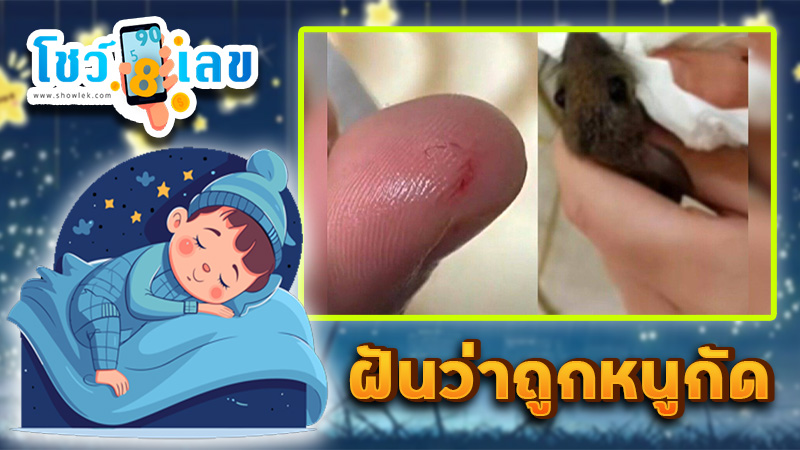 ฝันว่าถูกหนูกัด-"Dreaming about being bitten by a rat"