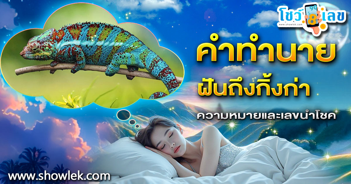 ฝันถึงกิ้งก่า ทำนายว่าอย่างไร? พร้อมเลขเด็ด แม่นๆ ที่เกี่ยวกับความฝัน เเจกฟรี เช็กเลย !