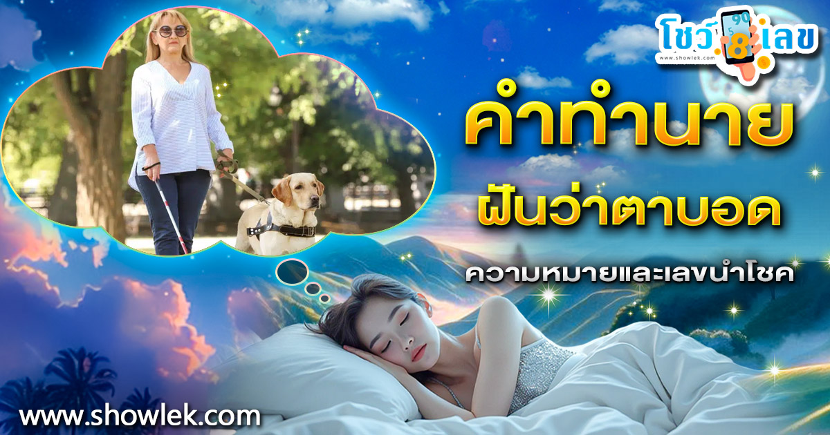 ฝันว่าตาบอด ทำนายว่าอย่างไร? พร้อมเลขเด็ด แม่นๆ ที่เกี่ยวกับความฝัน เเจกฟรี เช็กเลย !