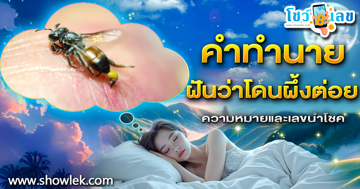 เปิดคำทำนาย ว่าโดนผึ้งต่อย ทำนายว่าอย่างไร? พร้อมเลขเด็ด แม่นๆ ที่เกี่ยวกับความฝัน เเจกฟรี เช็กเลย !