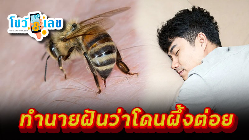 ว่าโดนผึ้งต่อย - "Dreaming of being stung by a bee"