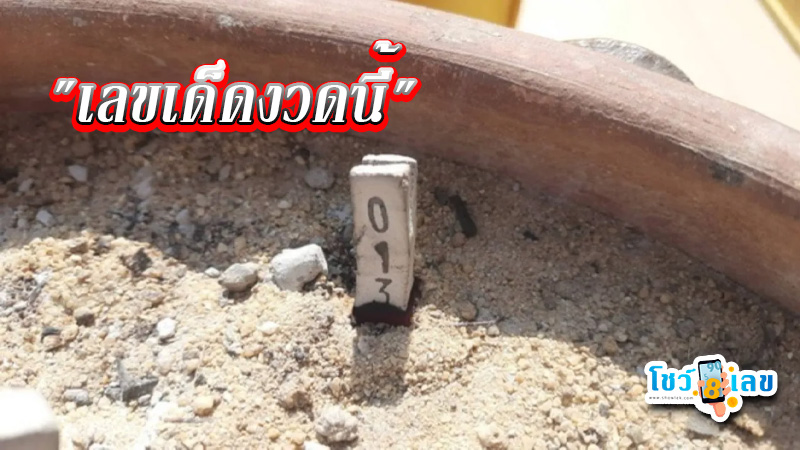 สาวเผย เลขเด็ดงวดนี้-"Girl reveals lucky numbers for this draw"