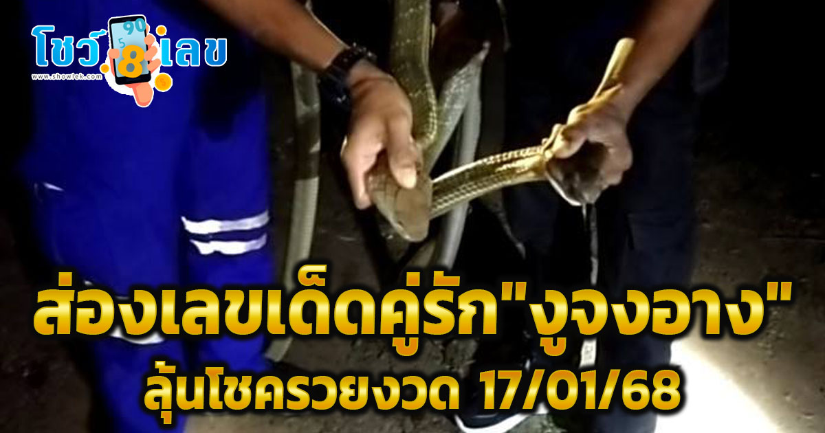 ห้ามพลาด!! ส่องเลขเด็ดคู่รัก “งูจงอาง” บุกบ้านอดีตตร. อึ้งตรงบ้านเลขที่บองหลาบุกก่อนหน้านี้ ลุ้นโชครวยงวด 17/01/68