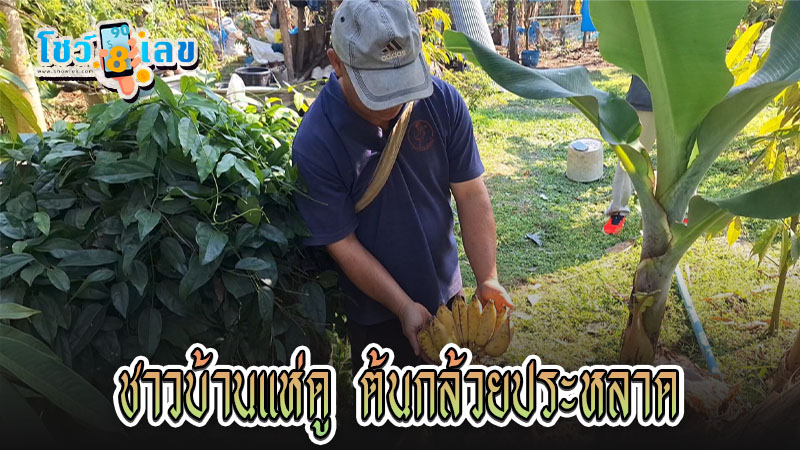 ชาวบ้านแห่ส่องเลขเด็ด - "Look at lucky numbers "