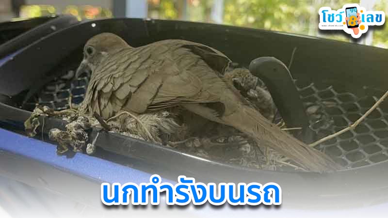 เลขทะเบียนรถมงคล-"Lucky car registration numbers"