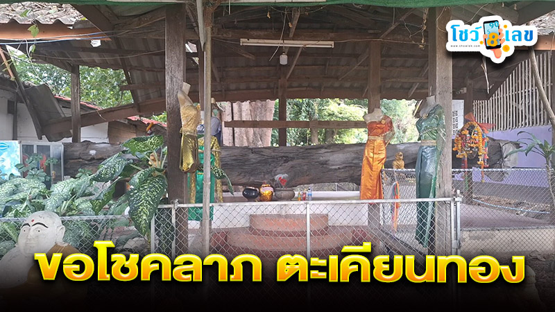 ขอเลขเด็ด ตะเคียนทอง-''Request lucky numbers for Takhian Thong''