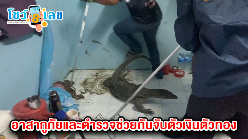 เลขเด็ดที่สุดในโลก-"The best number in the world"