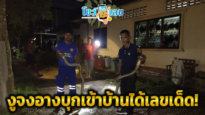 เลขเด็ด วันนี้-"Today's lucky number"
