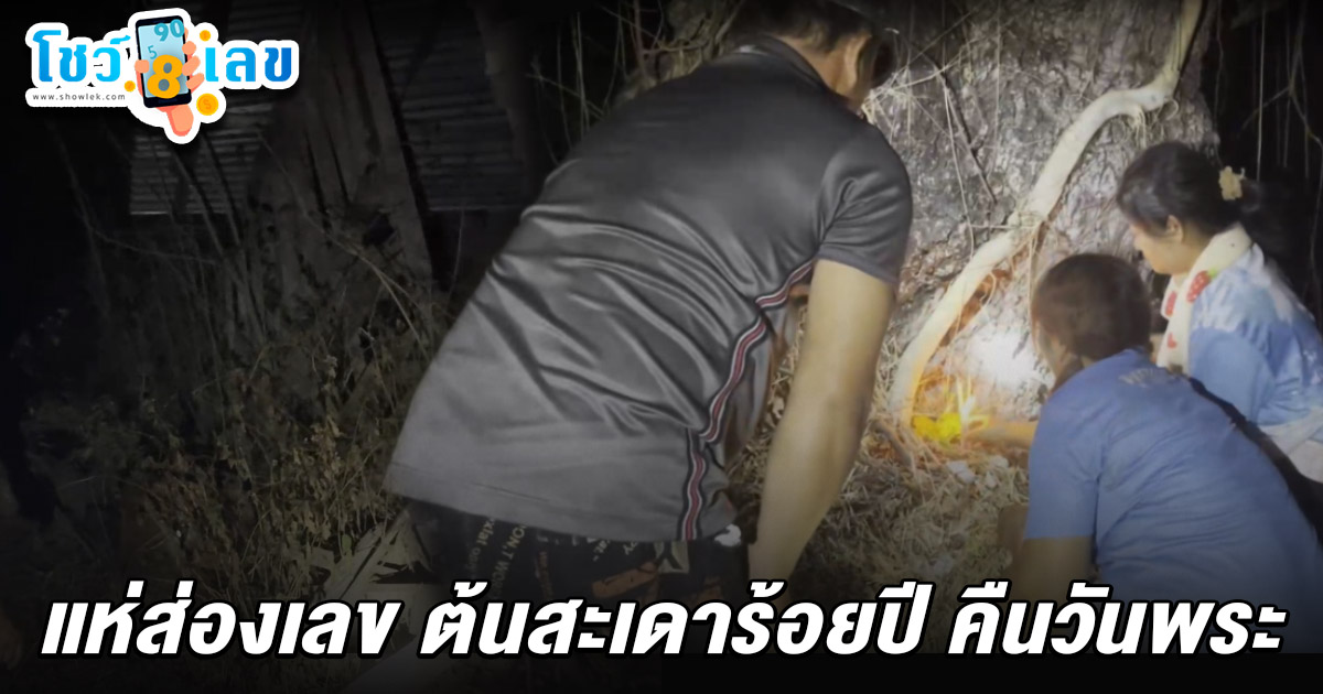 แห่ขอหวยคืนวันพระ ส่อง เลขต้นสะเดาร้อยปี 1/3/68