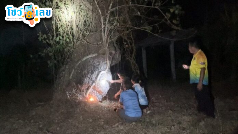 รูปภาพชาวบ้านส่องเลขต้นสะเดาอายุร้อยปีของ heng99