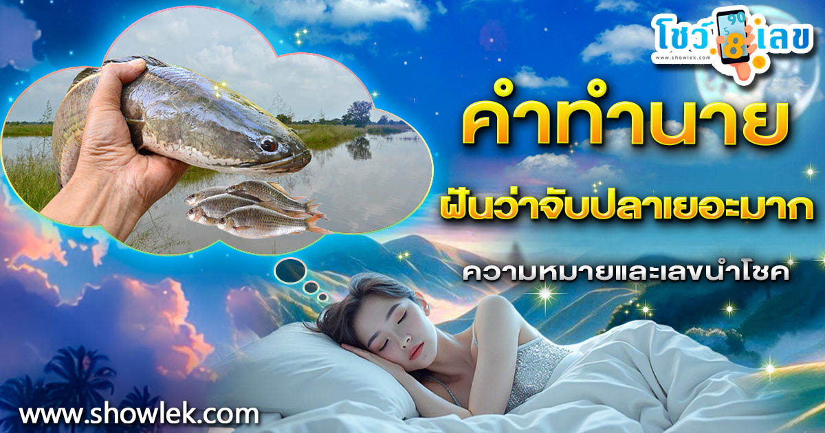 ฝันจับปลาเยอะมาก มีแต่เรื่องดีใช่ไหม หรือต้องรีบแก้เคล็ด เปิดความหมายพร้อมแนวทางเสี่ยงโชค!