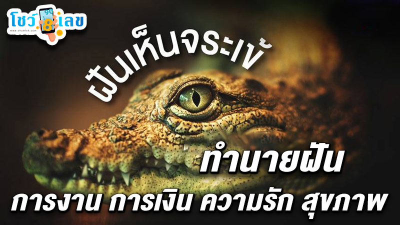รูปภาพทำนายฝันว่าเห็นจระเข้ของ heng99