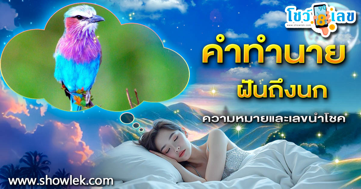 เปิดคำทำนาย ฝันถึงนก ทำนายว่าอย่างไร? พร้อมเลขเด็ด แม่นๆ ที่เกี่ยวกับความฝัน เช็กเลย !