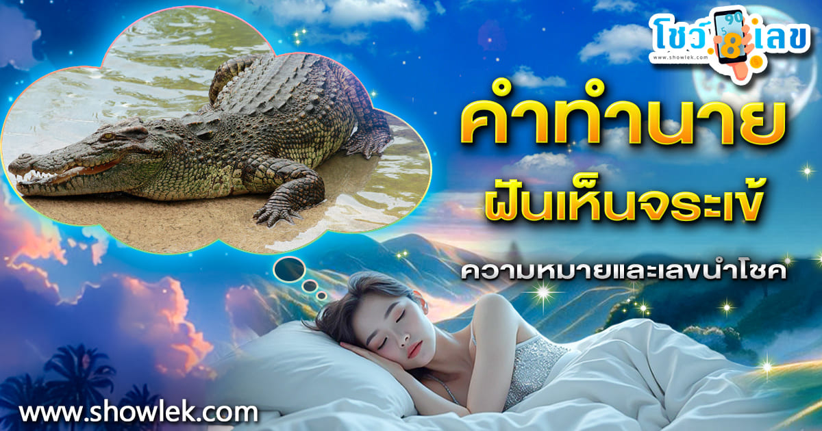 ฝันเห็นจระเข้ ลางดีหรือลางร้าย ฝันถึงจระเข้เลข เด็ดอะไร เช็กคำทำนายสุดแม่น ที่นี่