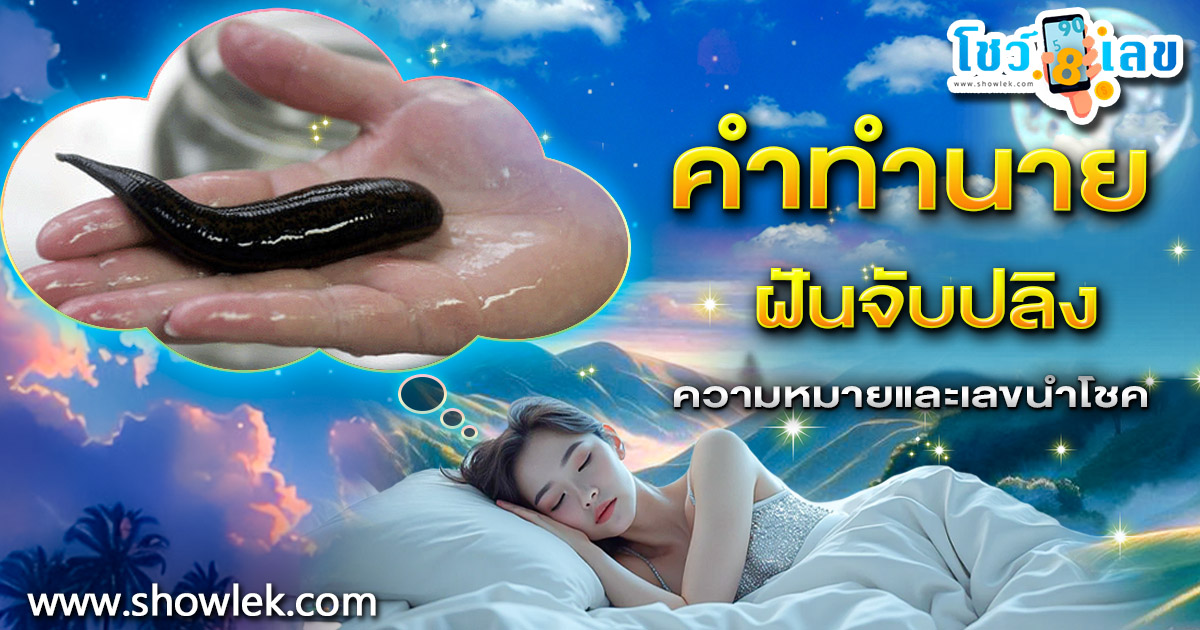ฝันจับปลิง  ทำนายฝันหมายความว่าอย่างไร พร้อมเลขเด็ดให้โชค