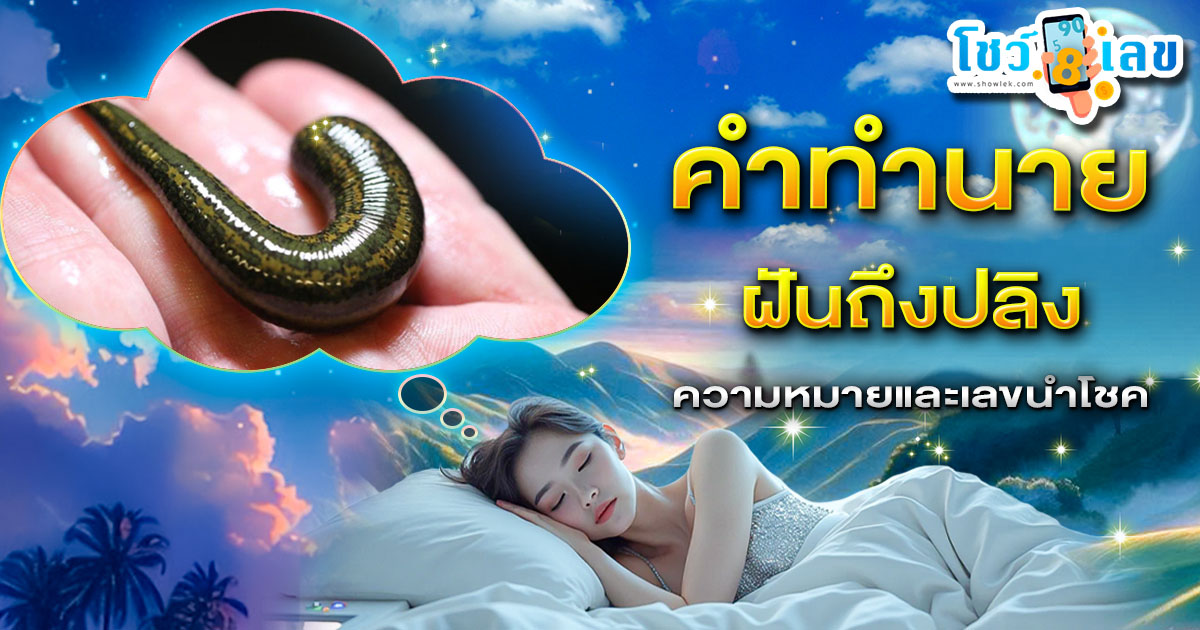 ฝันถึงปลิง มีลางดีหรือลางร้าย? เช็กคำทำนาย พร้อมเลขเด็ดที่นี่!