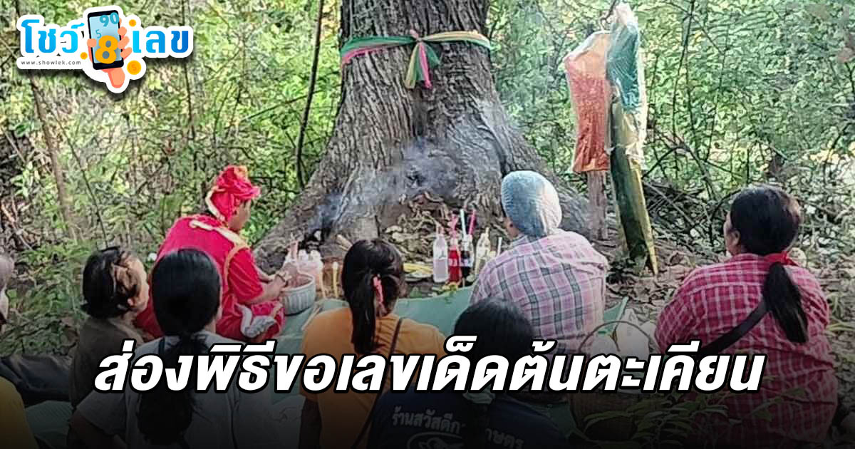 เลขโผล่ชัด! ชาวบ้านตะลึง ทำพิธีขอ เลขเด็ดต้นตะเคียน 1/3/68 หวังรับโชคใหญ่งวดนี้