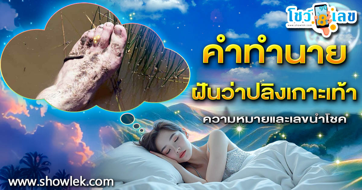 ฝันปลิงเกาะเท้า มีแต่เรื่องดีใช่ไหม? หรือต้องรีบแก้เคล็ด เปิดความหมายพร้อมแนวทางเสี่ยงโชค!