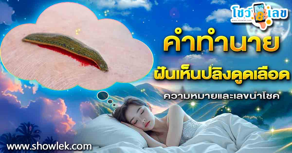 ฝันปลิงดูดเลือด กำลังสื่ออะไรถึงคุณ? เปิดลางบอกเหตุพร้อมเลขเด็ดสุดแม่น