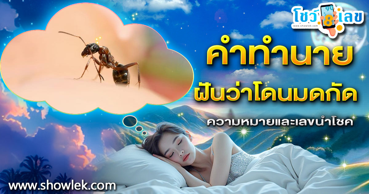 เปิดคำทำนาย ฝันว่าโดนมดกัด ทำนายว่าอย่างไร? พร้อมเลขเด็ด แม่นๆ ที่เกี่ยวกับความฝัน เช็กเลย !