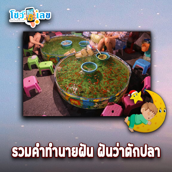 รูปภาพรวมคำทำนายฝันว่าตักปลาของ lekdedonline