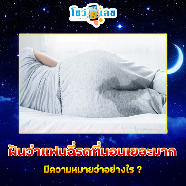 รูปภาพฝันว่าแฟนฉี่รดที่นอนเยอะมากของ lekdedonline
