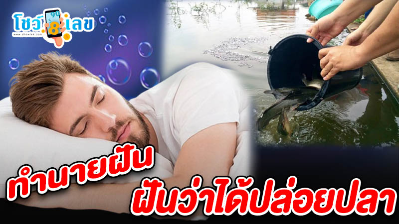 รูปภาพทำนายฝันว่าได้ปล่อยปลาของ lekdedonline