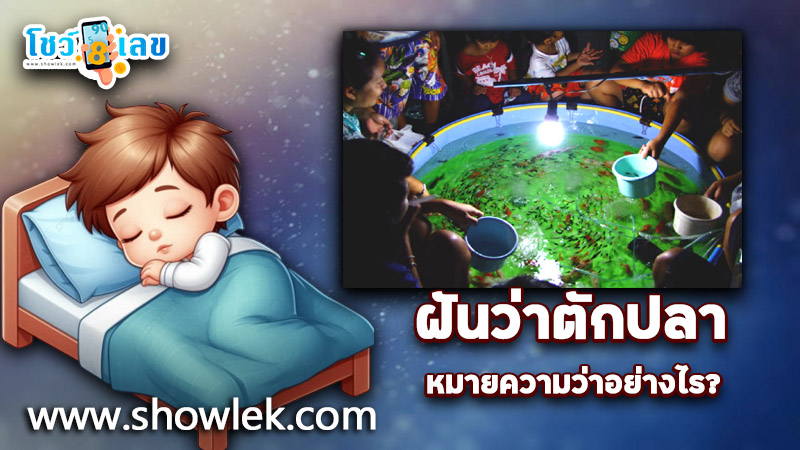 รูปภาพฝันว่าตักปลาของ lekdedonline