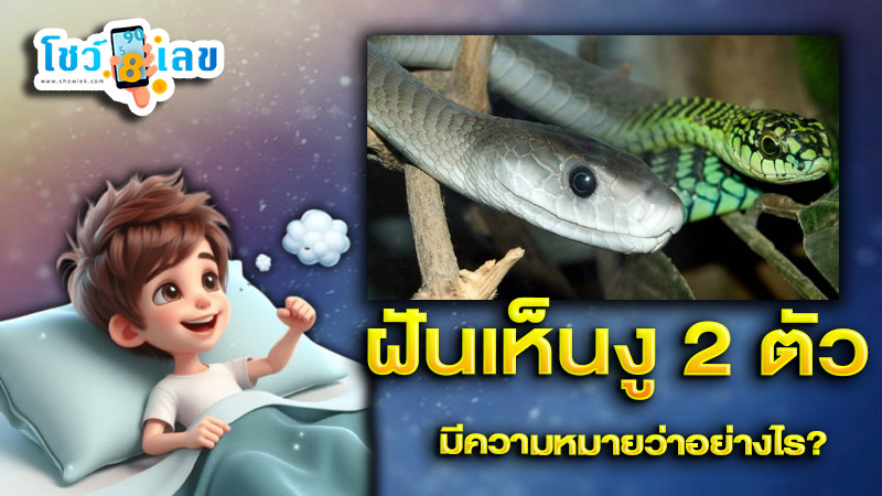 รูปภาพฝันถึงงู2ตัวของ heng99