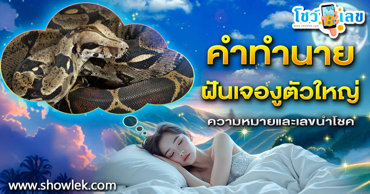 ฝันเจองูตัวใหญ่ ได้เนื้อคู่หรือไม่? จะมีลางดีหรือลางร้าย? เช็กคำทำนาย พร้อมเลขเด็ดที่นี่!