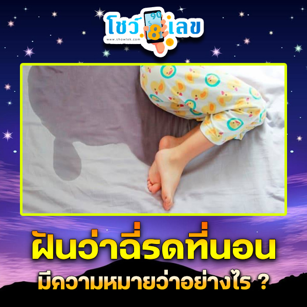 รูปภาพฝันว่าฉี่รดที่นอนของ lekdedonline