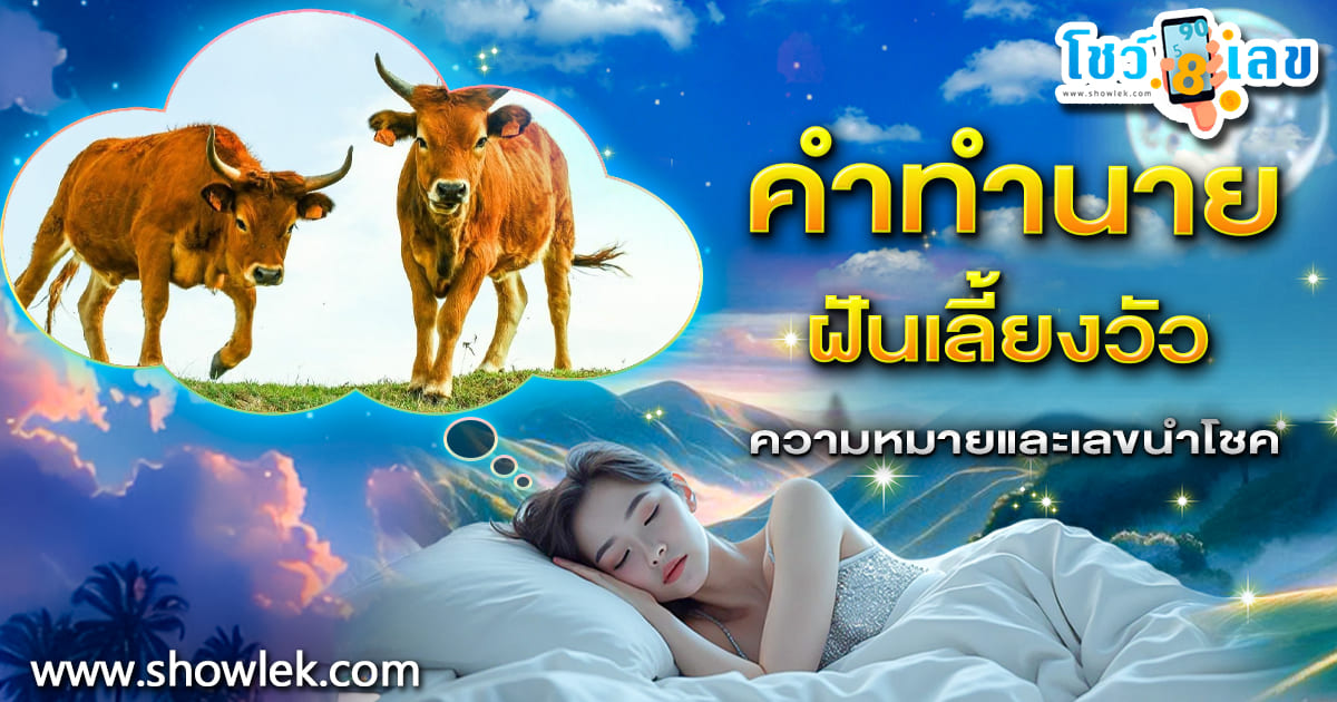 เปิดคำทำนาย ฝันเลี้ยงวัว ลางดี หรือ ลางร้าย มีความหมายอย่างไร พร้อมเลขเด็ดแม่นๆ เช็กกันเลย !!