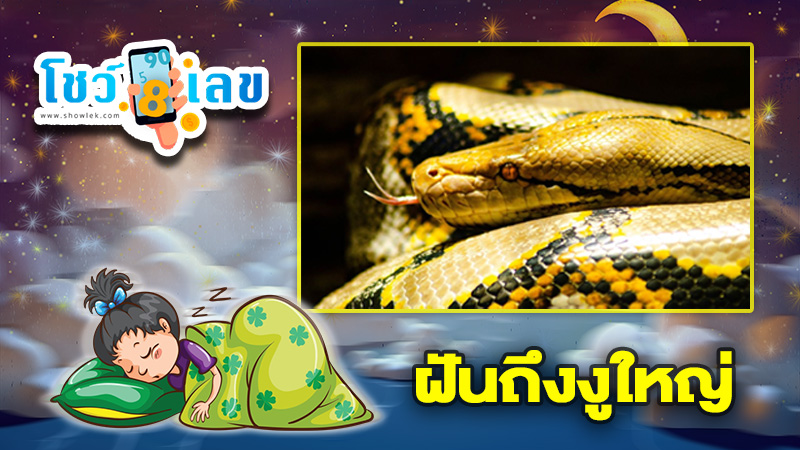 รูปภาพฝันถึงงูใหญ่ของ heng99