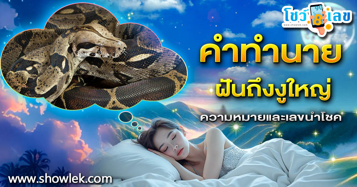 เปิดคำทำนาย ฝันถึงงูใหญ่ ทำนายว่าอย่างไร? พร้อมเลขเด็ดนำโชคแม่นๆ ที่เกี่ยวกับความฝันเเม่นๆ เช็กเลย !