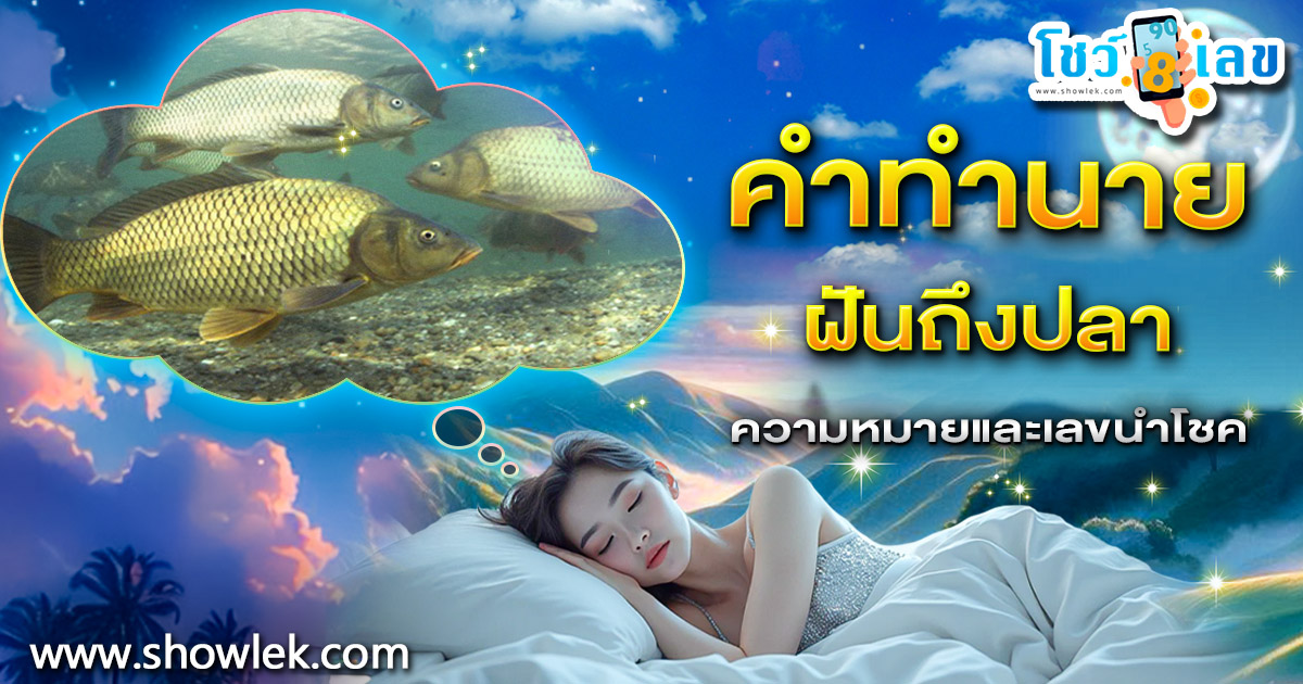 ฝันแปลกแต่พารวย! ฝันถึงปลา มีโชคลาภใช่ไหม? เช็กเลขเด็ดงวดนี้เลย