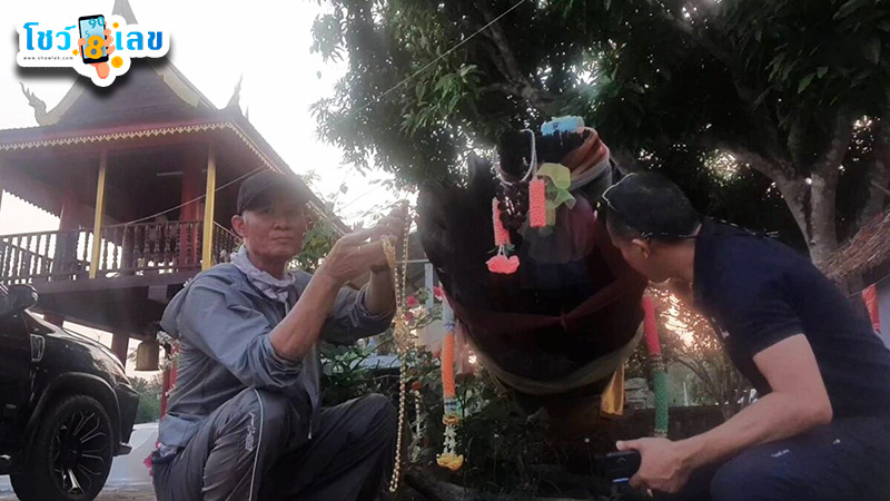 รูปภาพคอหวยเซ่นไหว้ขอเลขเด็ดต้นตะเคียนยักษ์ของ heng99