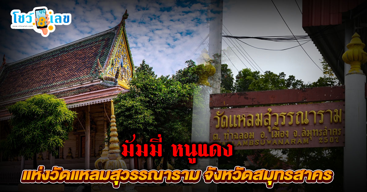 เรื่องเล่า มัมมี่ หนูแดง แห่งวัดแหลมสุวรรณาราม ทารกน้อยผู้เลื่องชื่อในวงการคนเสี่ยงโชคและเลขมงคล