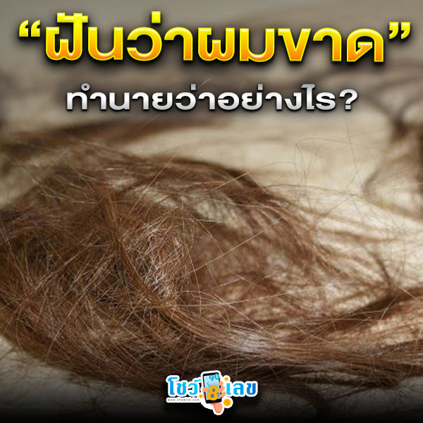 รูปภาพฝันว่าผมขาดทำนายว่าอย่างไรของ lekdedonline