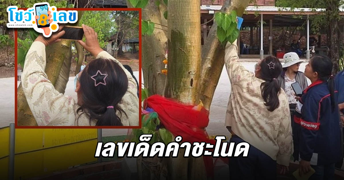 โค้งสุดท้ายมาแล้ว !! เลขเด็ดคำชะโนด 1/4/68 ชาวบ้านแห่ส่อง เลขเด็ดโผล่เห็นชัด หวังลุ้นรวยงวดนี้