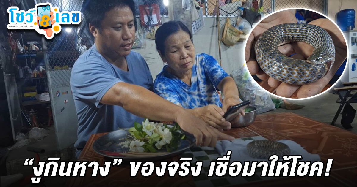 เจ้าของอู่ ฝันเห็นเรือใหญ่ ตื่นมาพบ “งูกินหาง” เชื่อมาให้โชค ไม่พลาดส่องเลขที่บ้าน เลขงูกินหาง 16/4/68 ลุ้นหวยงวดนี้!