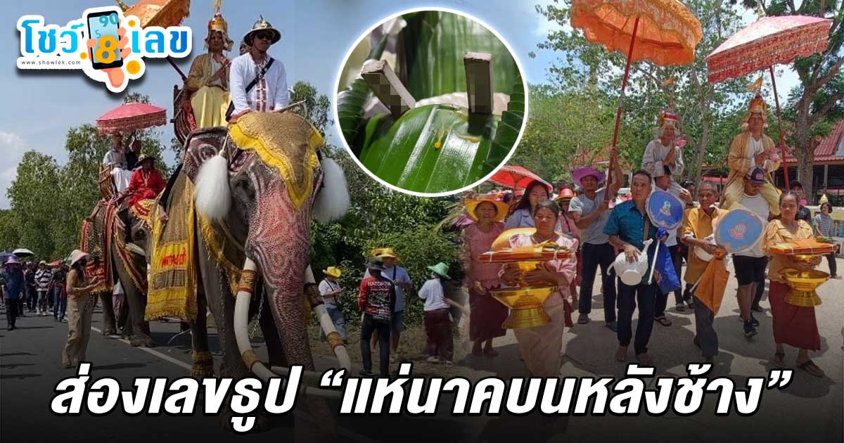 คอหวยฮือฮา! ส่องเลขธูป เลขแห่นาคบนหลังช้าง 2/5/68 หวังโชคลาภร่วมกับพระใหม่ ลุ้นโชคใหญ่ ลุ้นรวยหวยงวดนี้!