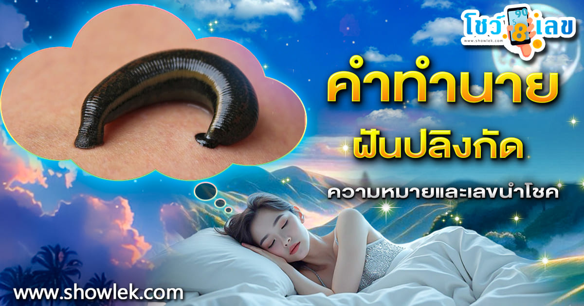 เปิดคำทำนาย ฝันปลิงกัด ลางร้ายหรือลางดี มีความหมายที่ซ่อนอยู่ พร้อมเลขเด็ด ไปเช็กกันเลย!!