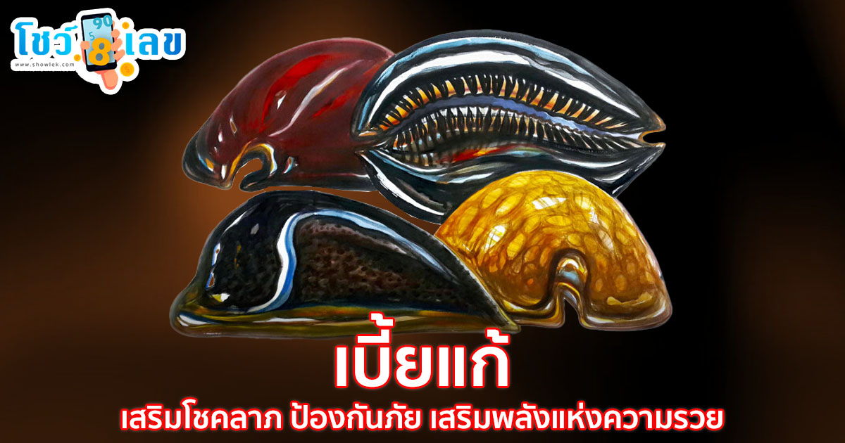 พกไว้ไม่ผิดหวัง! เบี้ยแก้ วัตถุมงคลสายมู เสริมโชคลาภ ป้องกันภัย เสริมพลังแห่งความรวย เรียกทรัพย์เข้ากระเป๋าไม่ขาดมือ !