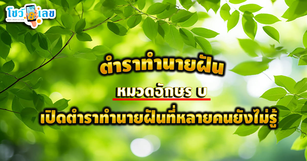 ทำนายฝัน หมวดอักษร บ มีแต่เรื่องดีใช่ไหม หรือต้องรีบแก้เคล็ด เปิดความหมายพร้อมแนวทางเสี่ยงโชค