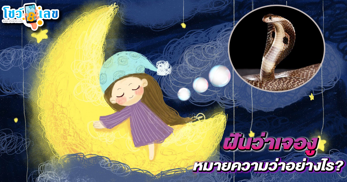 รูปภาพฝันเจองูของ lekdedonline