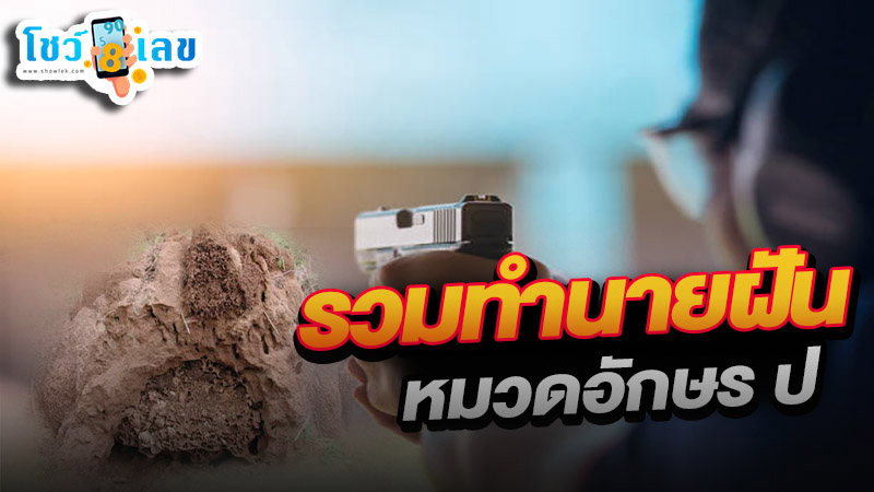 รูปภาพรวมทำนายฝันหมวดอักษร ป ของ lekdedonline